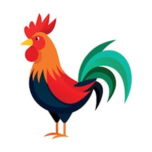 Rooster For Sale