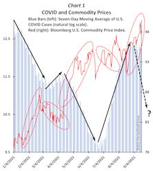 COVID Still Controls The Financial Markets