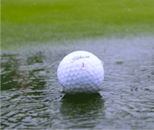 Golfing Buddies… From Ray Morrison