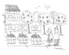 Apple Orchard Time!