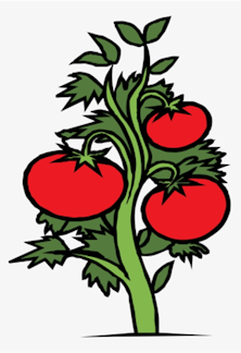 In The Garden... From Ed Walker