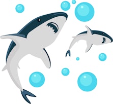 Father And Son Sharks