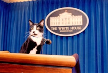 A Handful Of Political Quotes