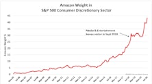 Consumer Discretionary: Neither Fish Nor Fowl