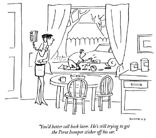 View From the North Country