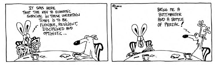 View from the North Country