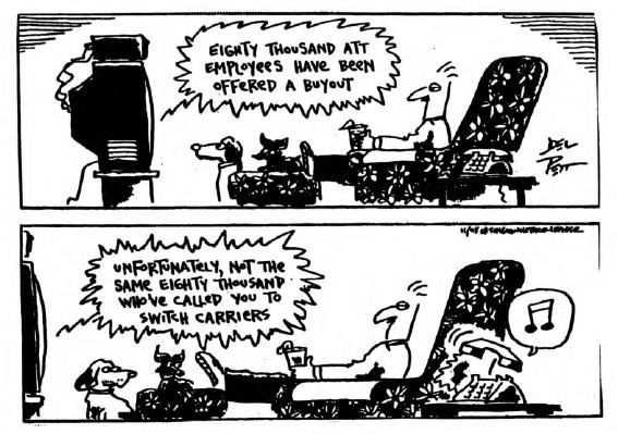 View From the North Country