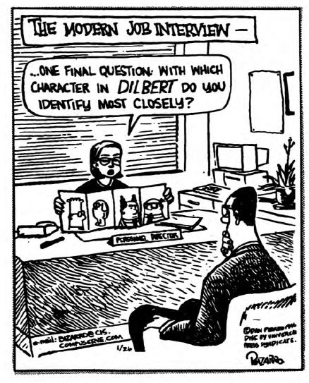 View From the North Country