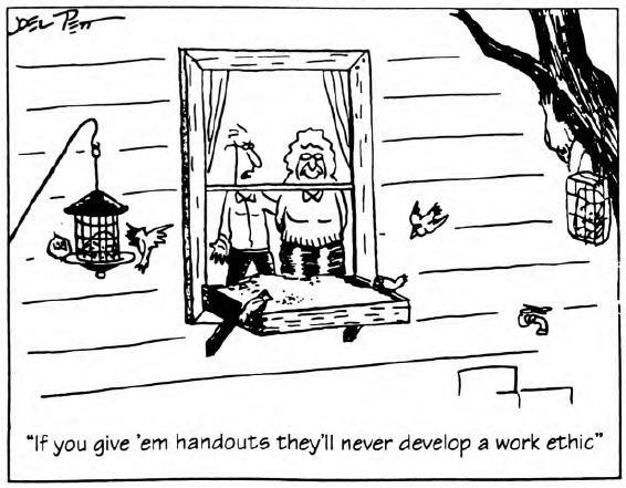 View from the North Country