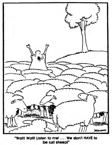 Preparing for the Next Bull Market