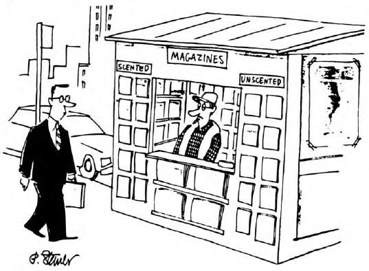 View from the North Country