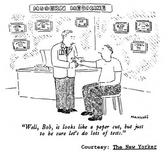 View from the North Country