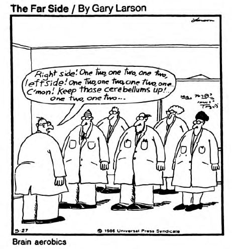 So Why Don’t You Send a Kid to Camp?