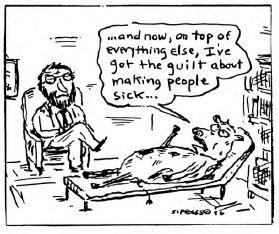 View From The North Country