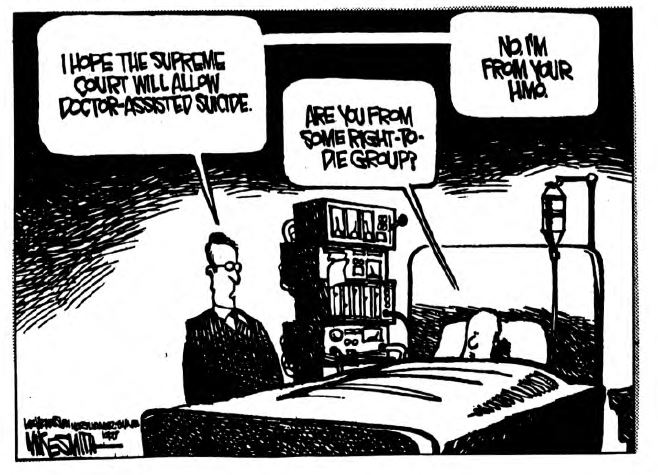 View From the North Country