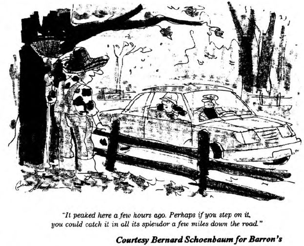 View From the North Country