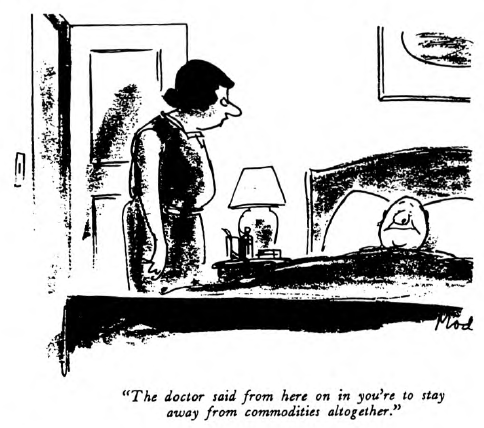 View from the North Country