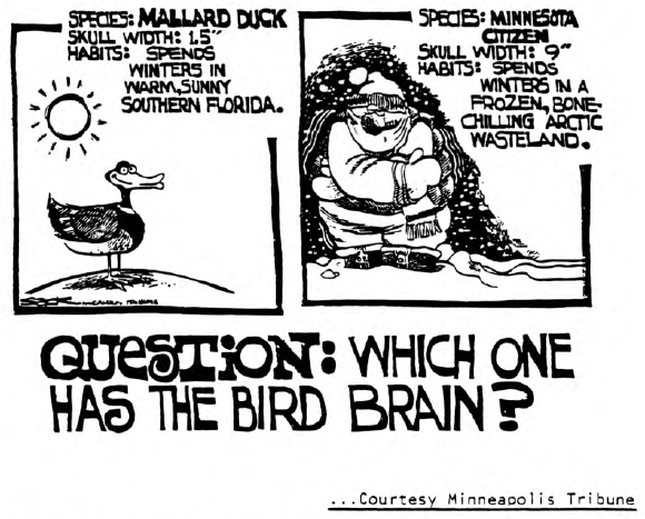 View from the North Country