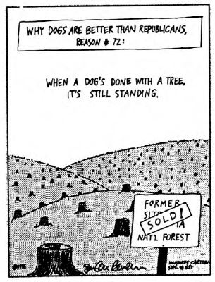 View from the North Country