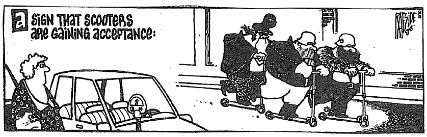 View From The North Country