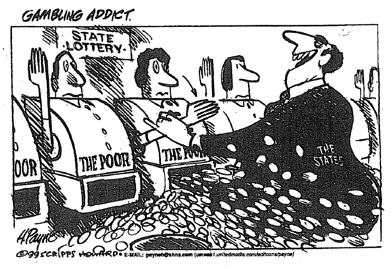 View From The North Country