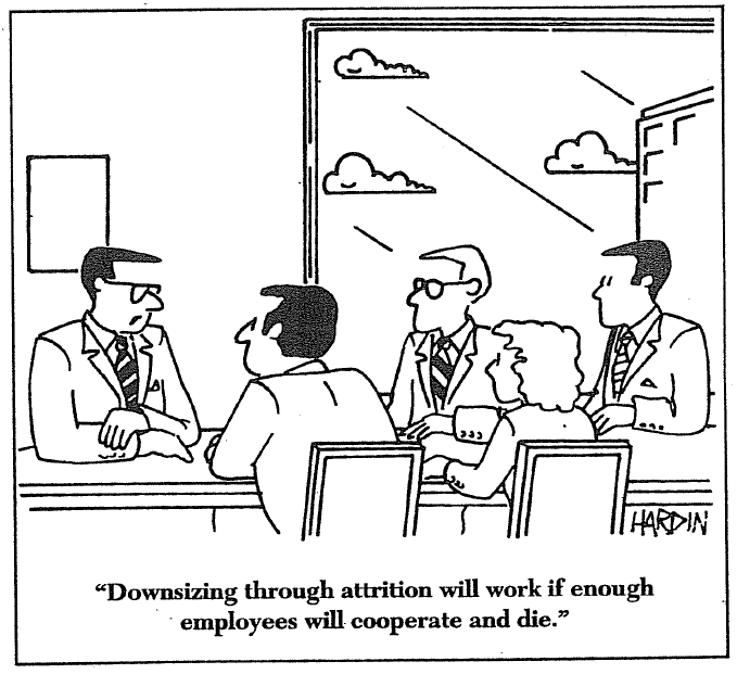 View From The North Country