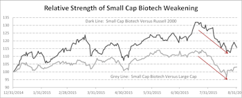 Small/Micro Cap Biotechnology: Still Richly Valued