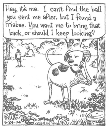 Playing The Bounce 2009—Most Of The Market Has Already Bounced