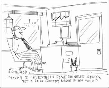 View From The North Country