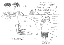 Wisdom From The Animal World