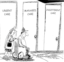 View From The North Country