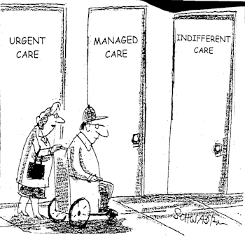 View From The North Country