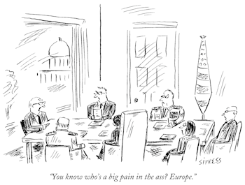 Stock Market Observations