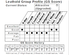 New Select Industries Group Holding: Small Cap Value