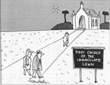 The Parable Of The Green Lawn