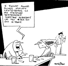 View From The North Country