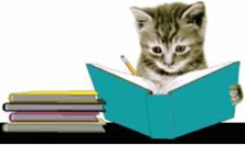 Diary Of A Sad Cat From Ze Frank