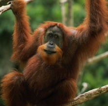 A Man Walked Into A Bar From Barb Tovsen