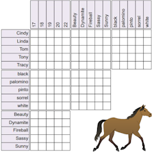 Time For Another Logic Puzzle