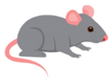 A Third Catholic Joke?!? C’mon, Phil!