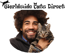 Worldwide Cats Direct